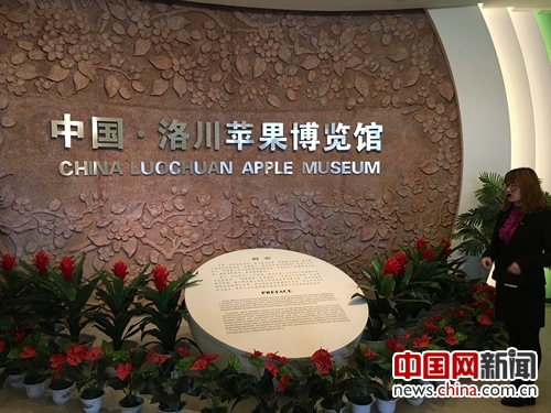 Luochuan Apple's Chinese Dream: A Successful Case of Rural internet plus