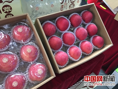 Luochuan Apple's Chinese Dream: A Successful Case of Rural internet plus