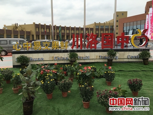 Luochuan Apple's Chinese Dream: A Successful Case of Rural internet plus