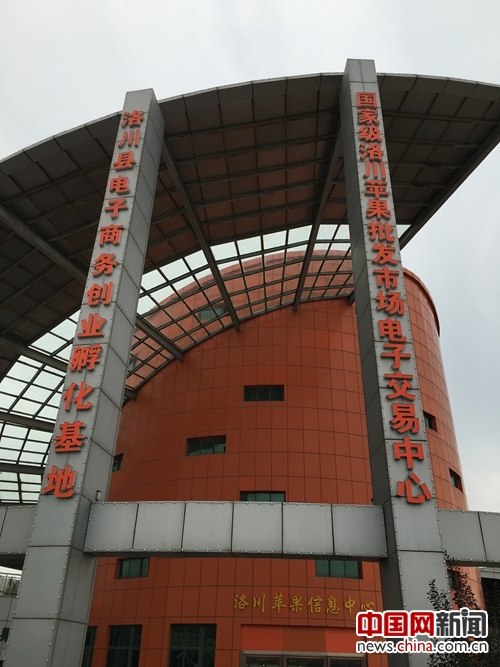 Luochuan Apple's Chinese Dream: A Successful Case of Rural internet plus