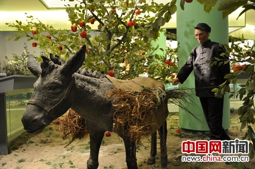 Luochuan Apple's Chinese Dream: A Successful Case of Rural internet plus